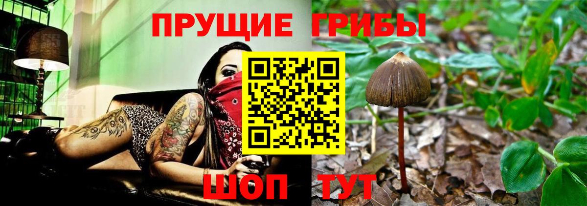 Псилоцибиновые грибы мухоморы Белореченск