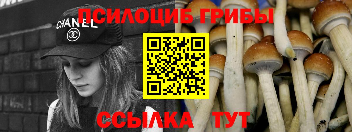 Псилоцибиновые грибы Magic Shrooms  Вход с VPN  Белореченск  Галлюциногенные грибы Psilocybe 